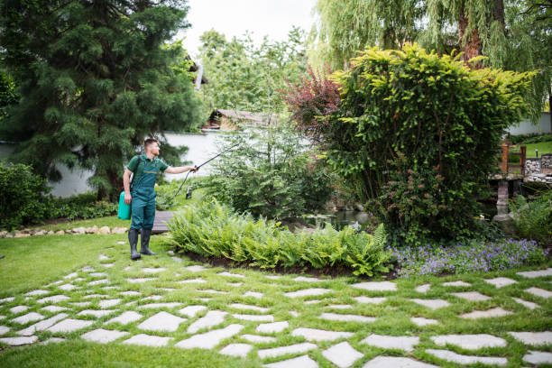 Best Pest Prevention Services  in Belmar, NJ