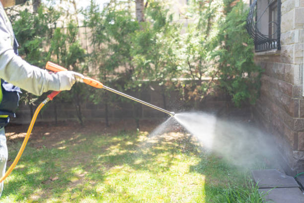Best Exterminator Services  in Belmar, NJ