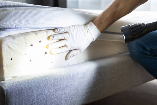 Best Pest Control for Businesses  in Belmar, NJ