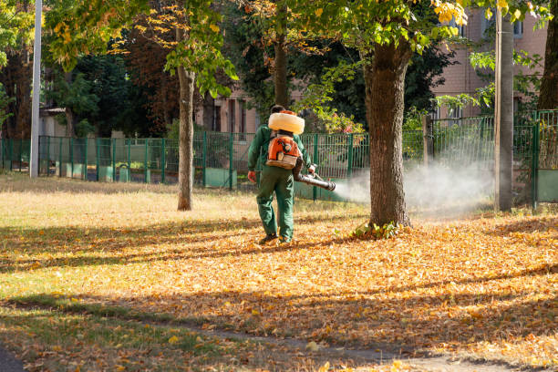 Trusted Belmar, NJ Pest Control Experts